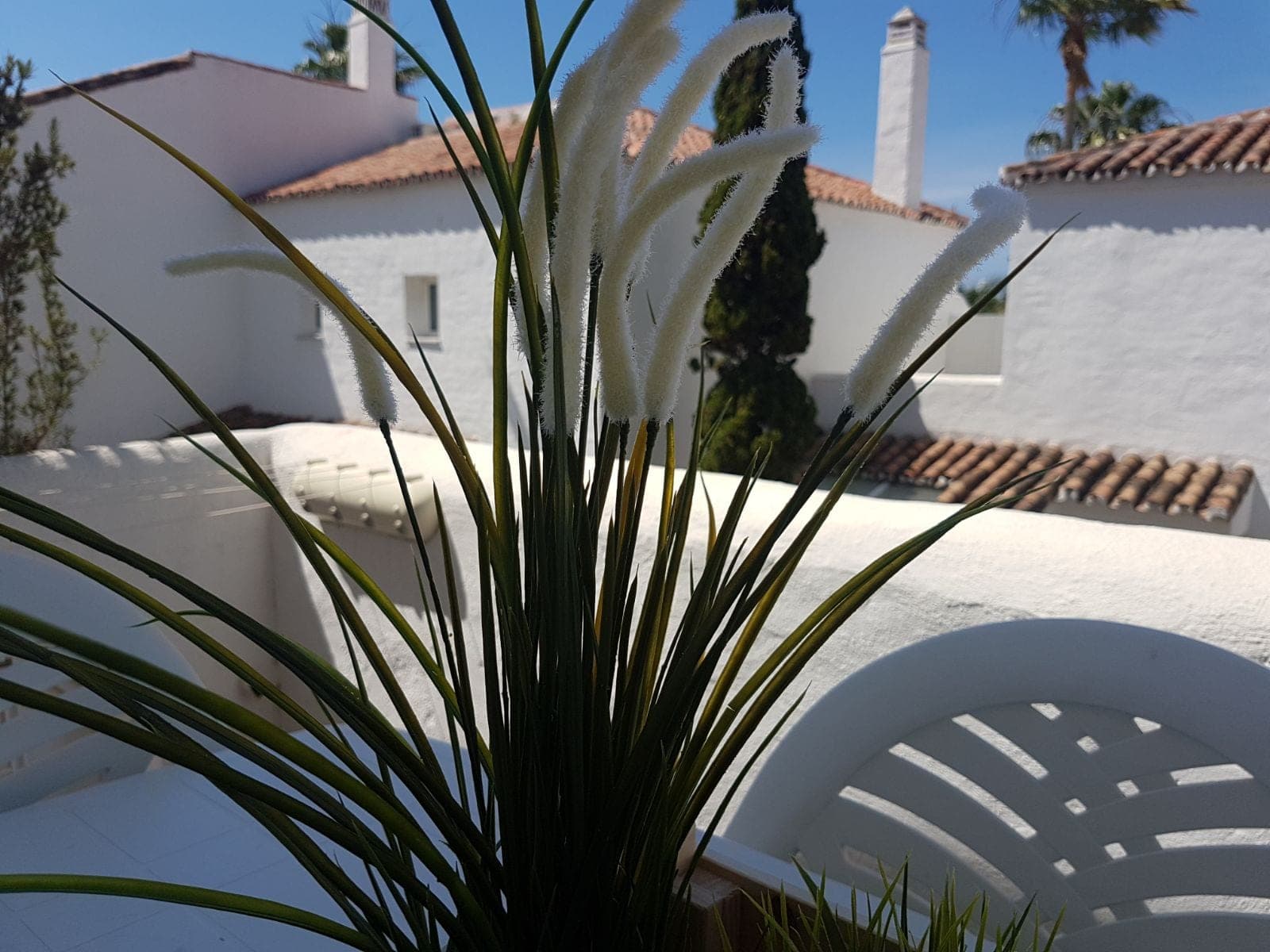 Apartamento Cisne — foto 14