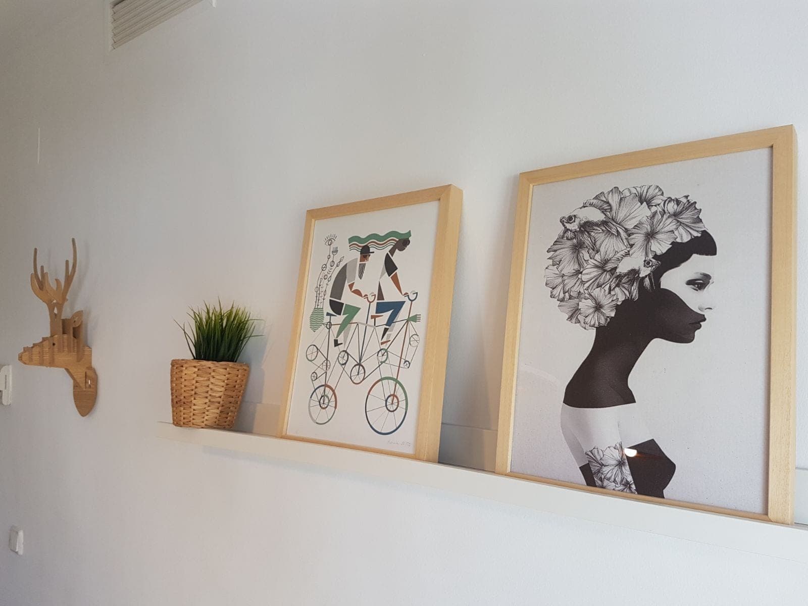 Apartamento Cisne — foto 16