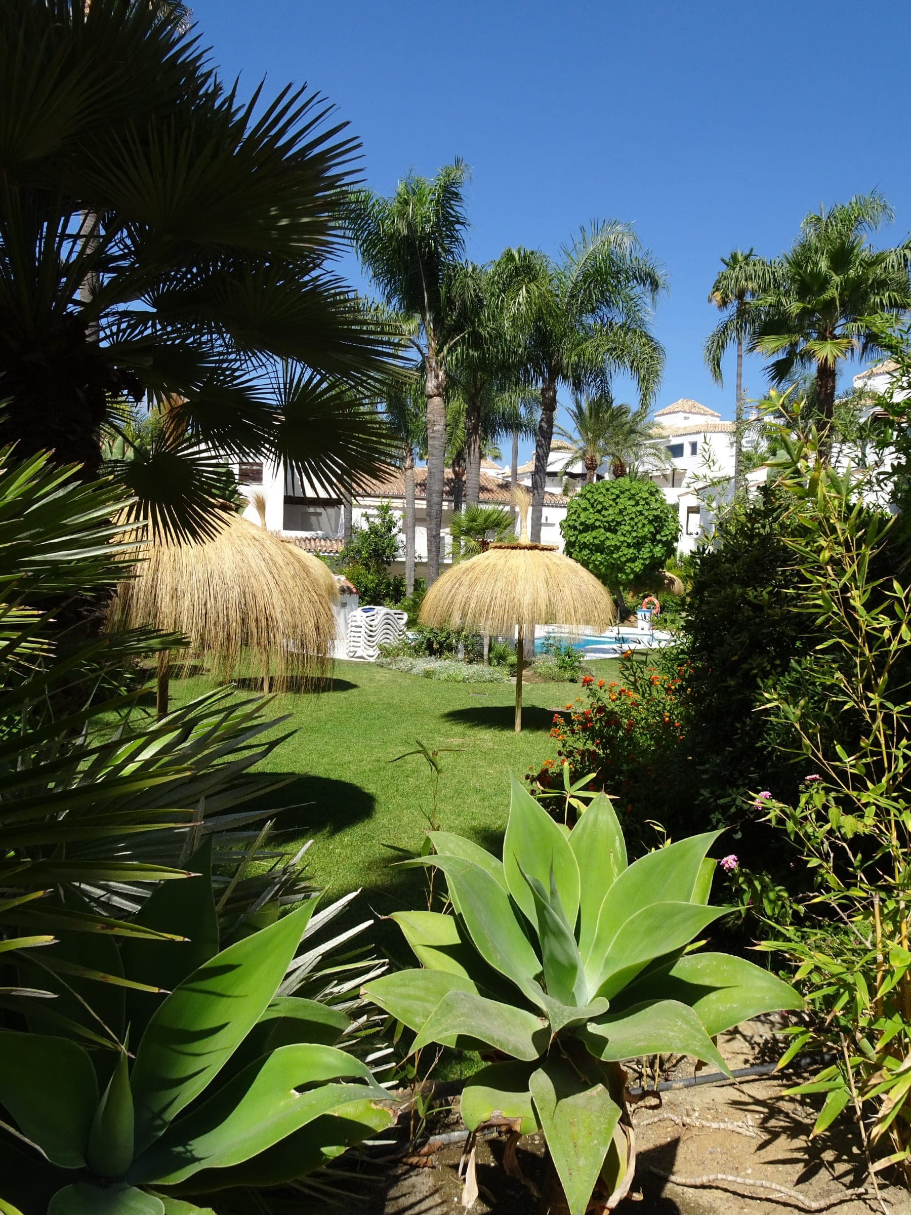 Apartamento Colibrí — foto 8