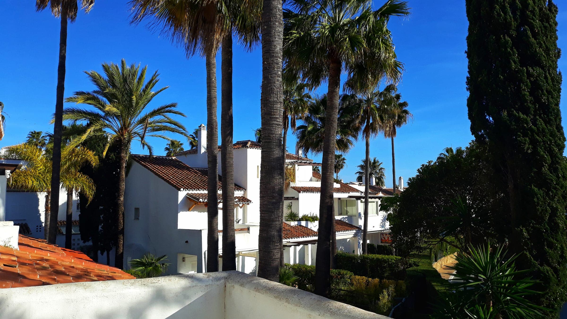 Casa Albatros — foto 10