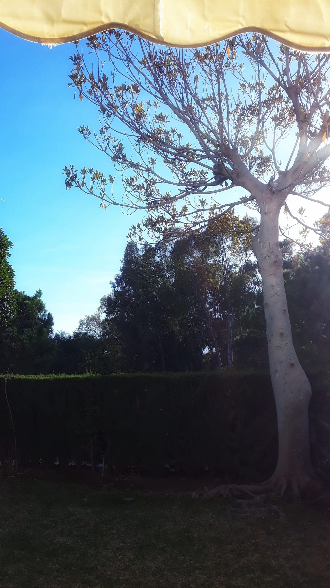 Casa Albatros — foto 11