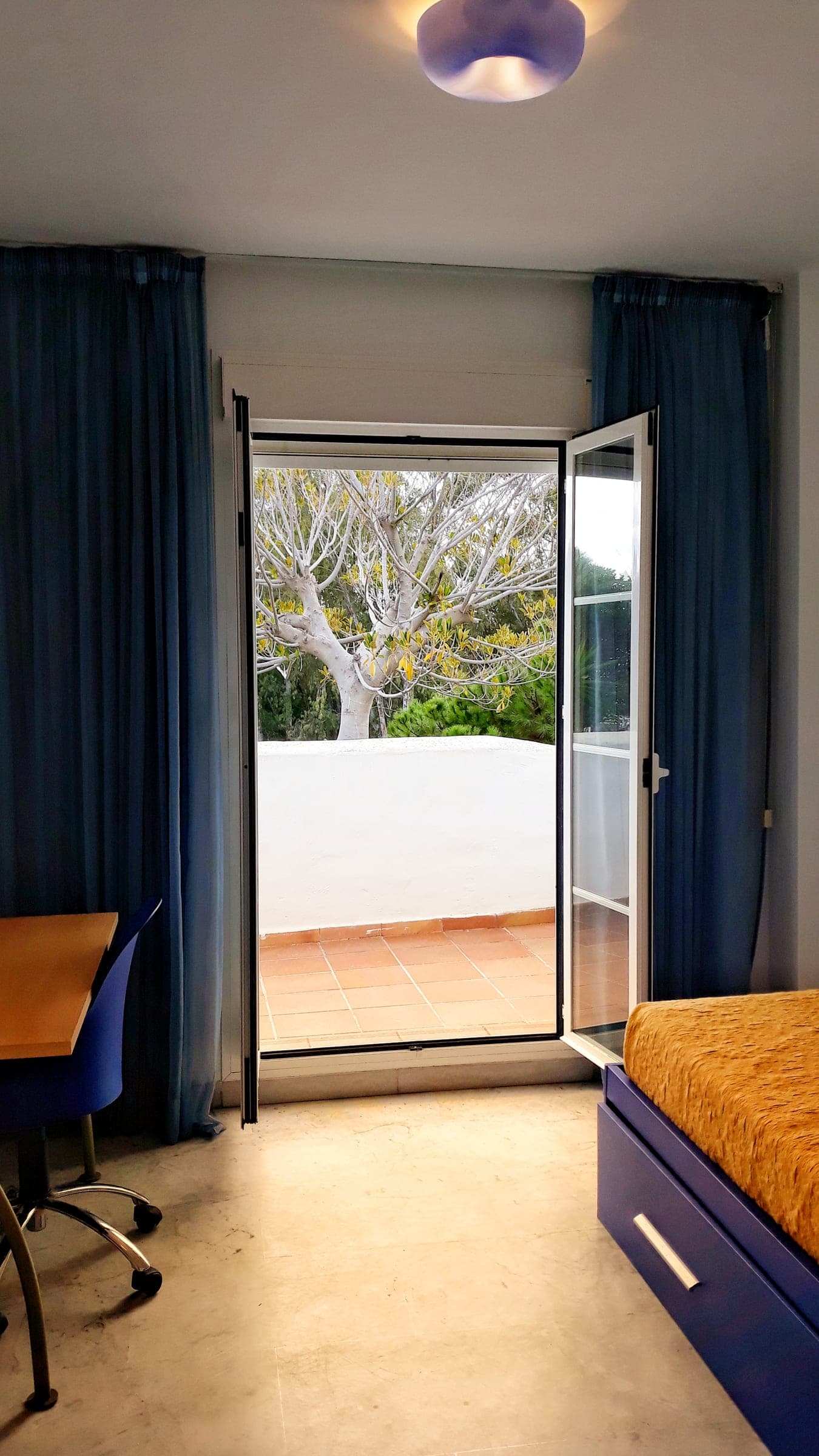Casa Albatros — foto 16