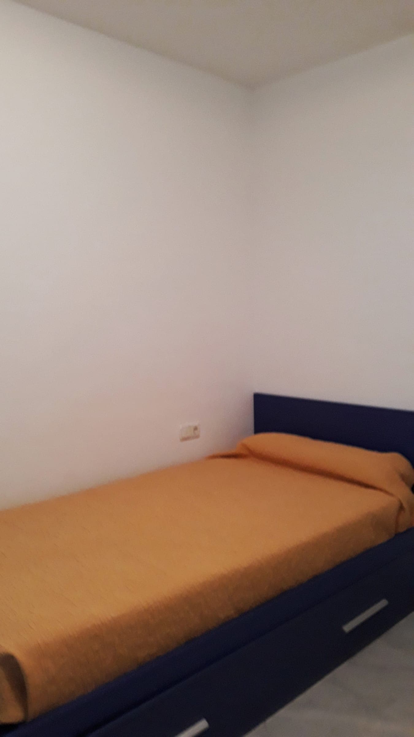Casa Albatros — foto 17