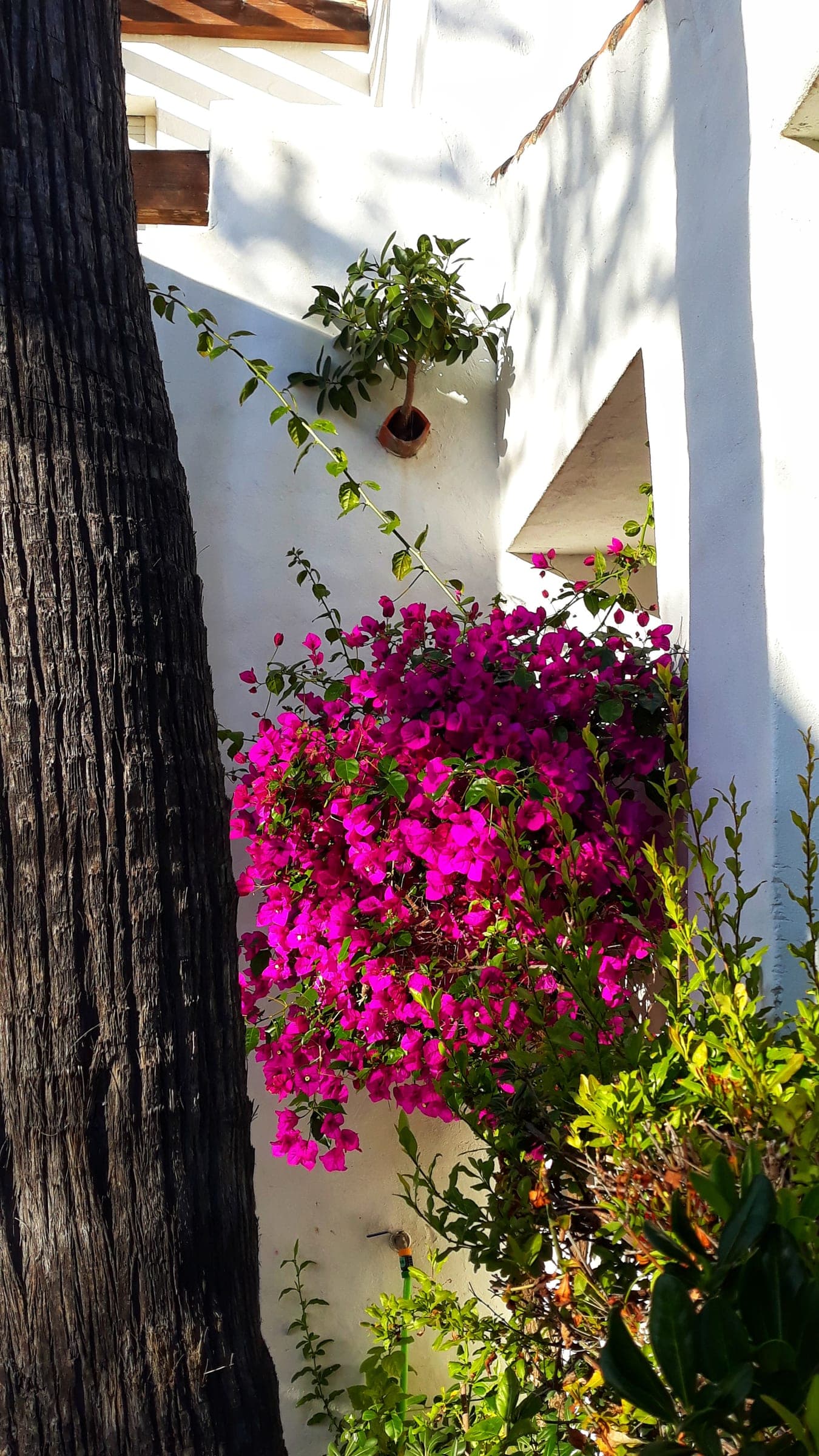 Casa Albatros — foto 20