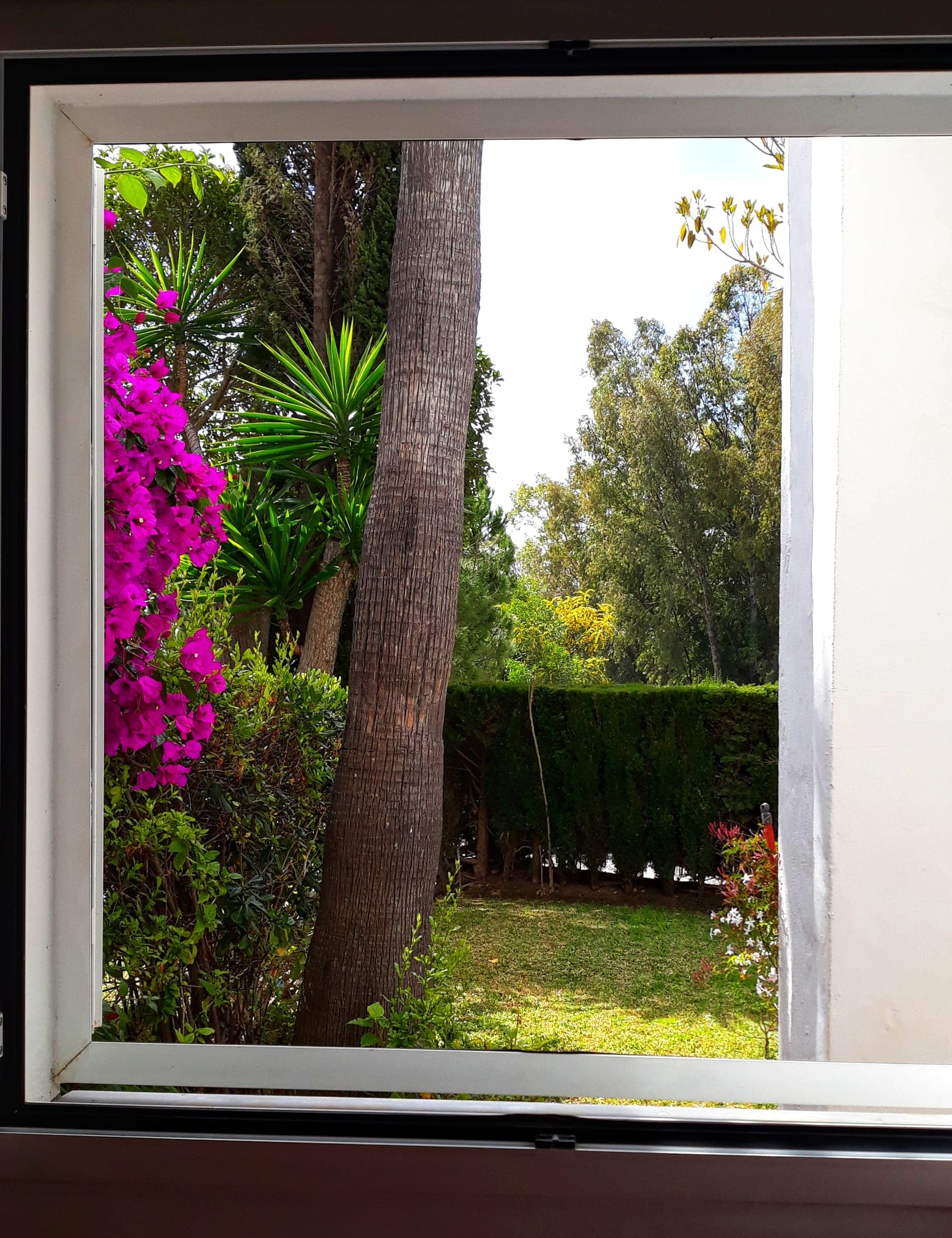 Casa Albatros — foto 7